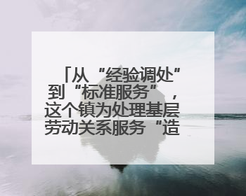 从“经验调处”到“标准服务”，这个镇为处理基层劳动关系服务“造标尺”