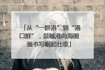 从“一群港”到“港口群”，盐城港向海图强书写崛起壮歌