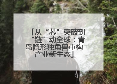 从“芯”突破到“链”动全球：青岛隐形独角兽重构产业新生态