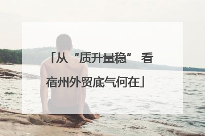 从“质升量稳” 看宿州外贸底气何在