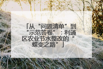 从“问题清单”到“示范答卷”：利通区农业节水整改的“蝶变之路”