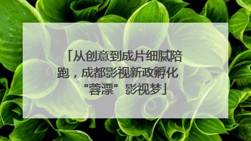 从创意到成片细腻陪跑，成都影视新政孵化“蓉漂”影视梦
