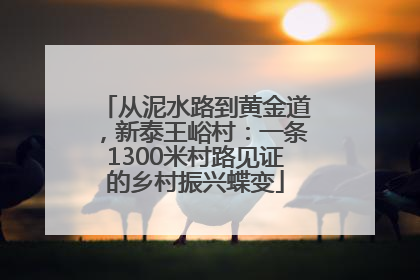 从泥水路到黄金道，新泰王峪村：一条1300米村路见证的乡村振兴蝶变