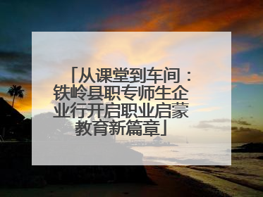 从课堂到车间：铁岭县职专师生企业行开启职业启蒙教育新篇章