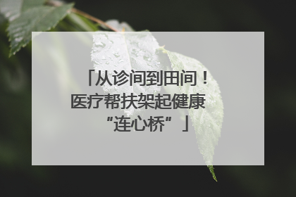 从诊间到田间！医疗帮扶架起健康“连心桥”