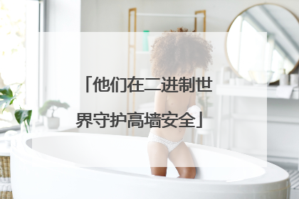 他们在二进制世界守护高墙安全
