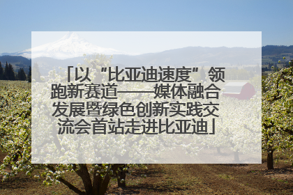 以“比亚迪速度”领跑新赛道——媒体融合发展暨绿色创新实践交流会首站走进比亚迪