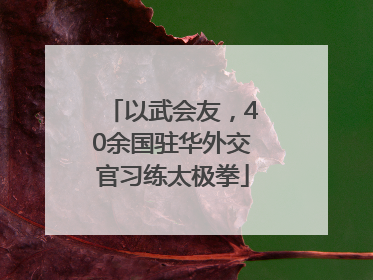 以武会友，40余国驻华外交官习练太极拳
