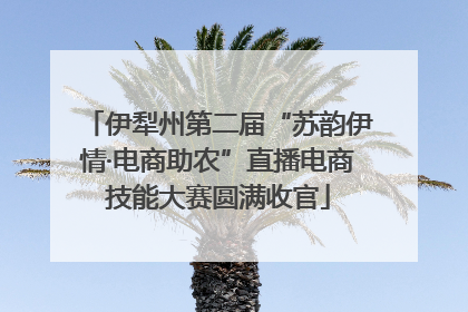 伊犁州第二届“苏韵伊情·电商助农”直播电商技能大赛圆满收官