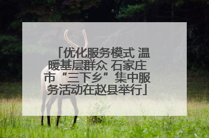 优化服务模式 温暖基层群众 石家庄市“三下乡”集中服务活动在赵县举行