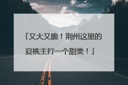 又大又脆！荆州这里的夏桃主打一个甜美！