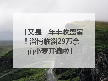 又是一年丰收盛景！淄博临淄29万余亩小麦开镰啦