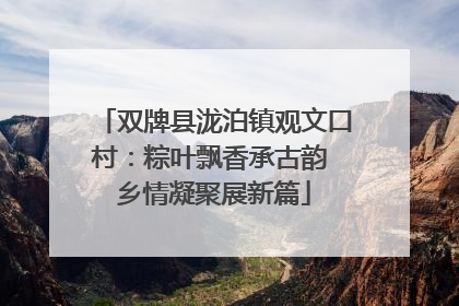 双牌县泷泊镇观文口村：粽叶飘香承古韵 乡情凝聚展新篇