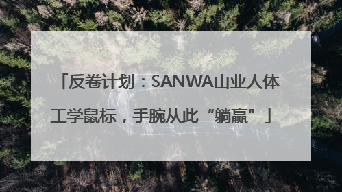 反卷计划：SANWA山业人体工学鼠标，手腕从此“躺赢”
