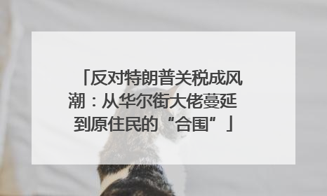 反对特朗普关税成风潮：从华尔街大佬蔓延到原住民的“合围”