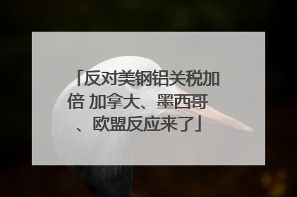 反对美钢铝关税加倍 加拿大、墨西哥、欧盟反应来了