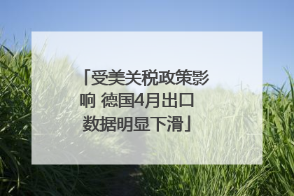 受美关税政策影响 德国4月出口数据明显下滑