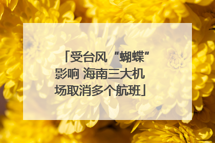 受台风“蝴蝶”影响 海南三大机场取消多个航班