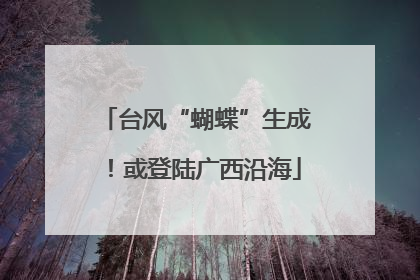台风“蝴蝶”生成！或登陆广西沿海