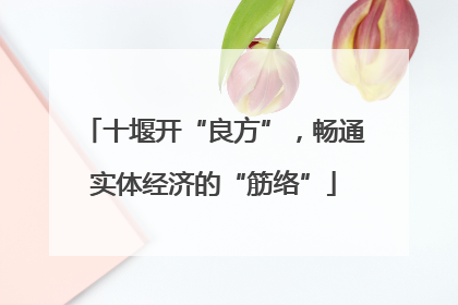 十堰开“良方”，畅通实体经济的“筋络”