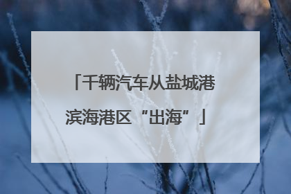千辆汽车从盐城港滨海港区“出海”