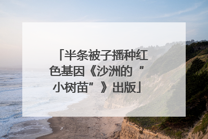半条被子播种红色基因《沙洲的“小树苗”》出版