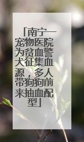 南宁一宠物医院为贫血警犬征集血源，多人带狗狗前来抽血配型