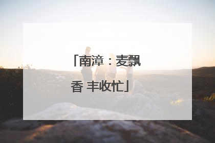 南漳：麦飘香 丰收忙