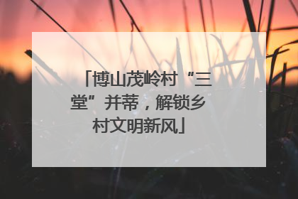 博山茂岭村“三堂”并蒂，解锁乡村文明新风