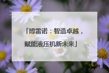 博雷诺：智造卓越，赋能液压机新未来