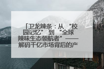 卫龙辣条：从 “校园记忆” 到 “全球辣味生态领航者”——解码千亿市场背后的产品创新与全链路破圈