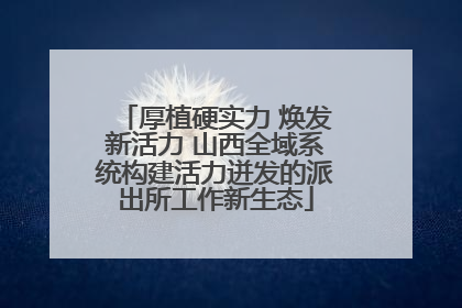 厚植硬实力 焕发新活力 山西全域系统构建活力迸发的派出所工作新生态