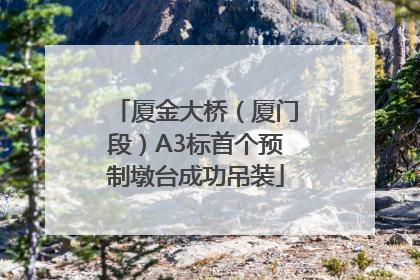 厦金大桥（厦门段）A3标首个预制墩台成功吊装