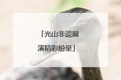 光山非遗展演精彩纷呈