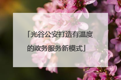 光谷公安打造有温度的政务服务新模式
