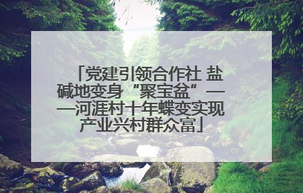 党建引领合作社 盐碱地变身“聚宝盆”——河涯村十年蝶变实现产业兴村群众富