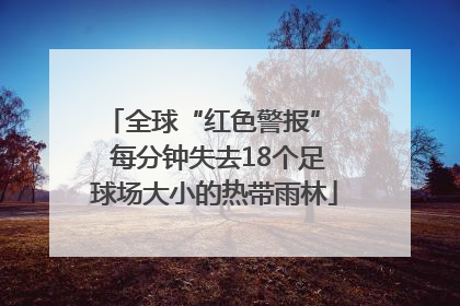 全球“红色警报”  每分钟失去18个足球场大小的热带雨林