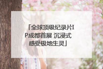 全球顶级纪录片IP成都首展 沉浸式感受极地生灵