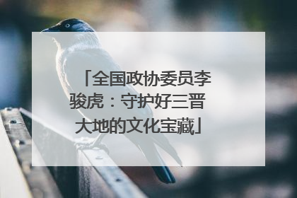 全国政协委员李骏虎：守护好三晋大地的文化宝藏