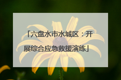 六盘水市水城区：开展综合应急救援演练