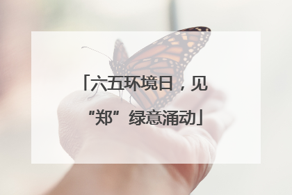 六五环境日，见“郑”绿意涌动
