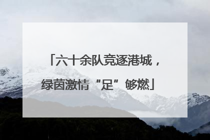 六十余队竞逐港城，绿茵激情“足”够燃