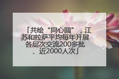 共绘“同心圆”，江苏和拉萨平均每年开展各层次交流200多批、近2000人次