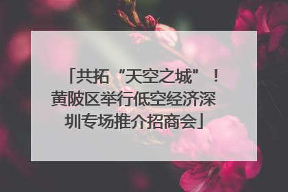 共拓“天空之城”！黄陂区举行低空经济深圳专场推介招商会