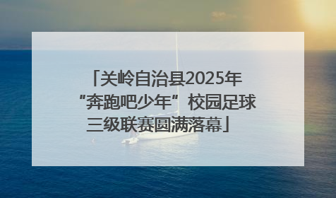关岭自治县2025年“奔跑吧少年”校园足球三级联赛圆满落幕