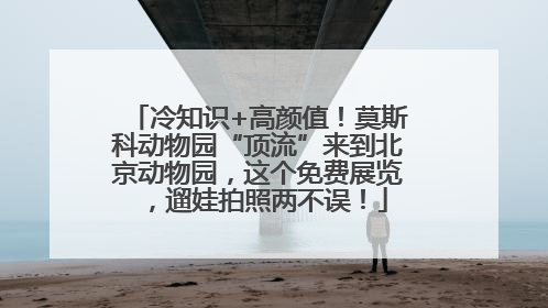 冷知识+高颜值！莫斯科动物园“顶流”来到北京动物园，这个免费展览，遛娃拍照两不误！