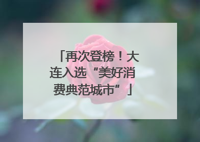再次登榜！大连入选“美好消费典范城市”