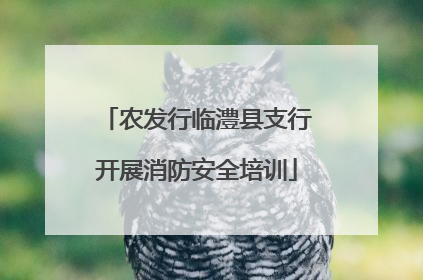 农发行临澧县支行开展消防安全培训