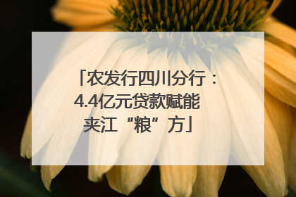 农发行四川分行：4.4亿元贷款赋能夹江“粮”方