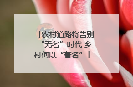 农村道路将告别“无名”时代 乡村何以“著名”